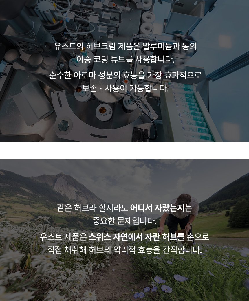 ㅊㅍ