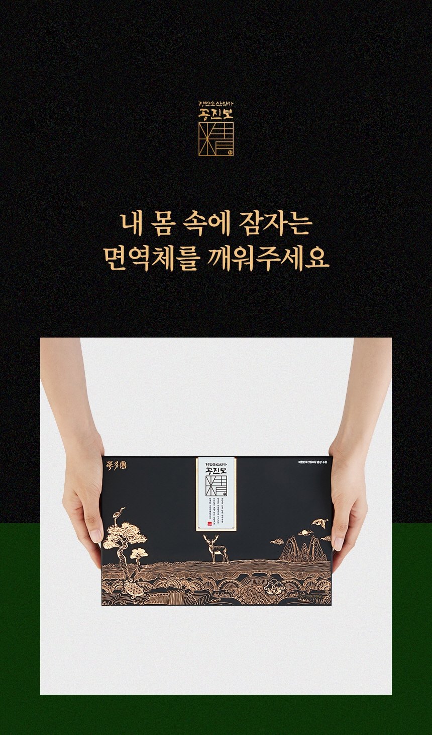 공진보정 